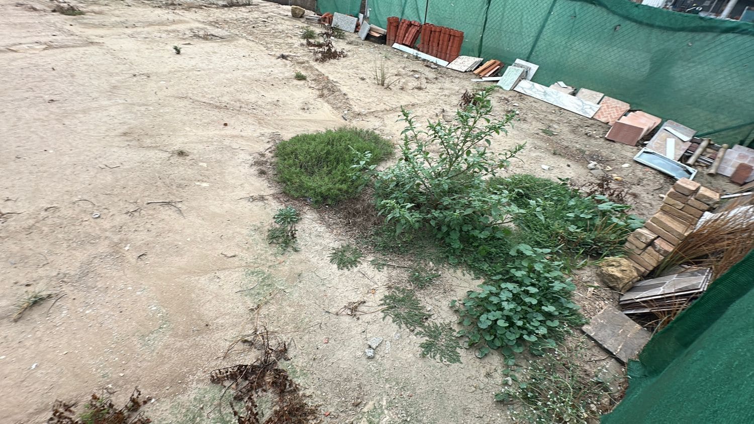 Grunde uden byggetilladelser til leje i Formentera del Segura - € 300 (Ref: 8370592)