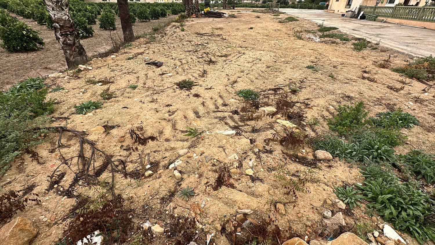 Grunde uden byggetilladelser til leje i Formentera del Segura - € 300 (Ref: 8370592)