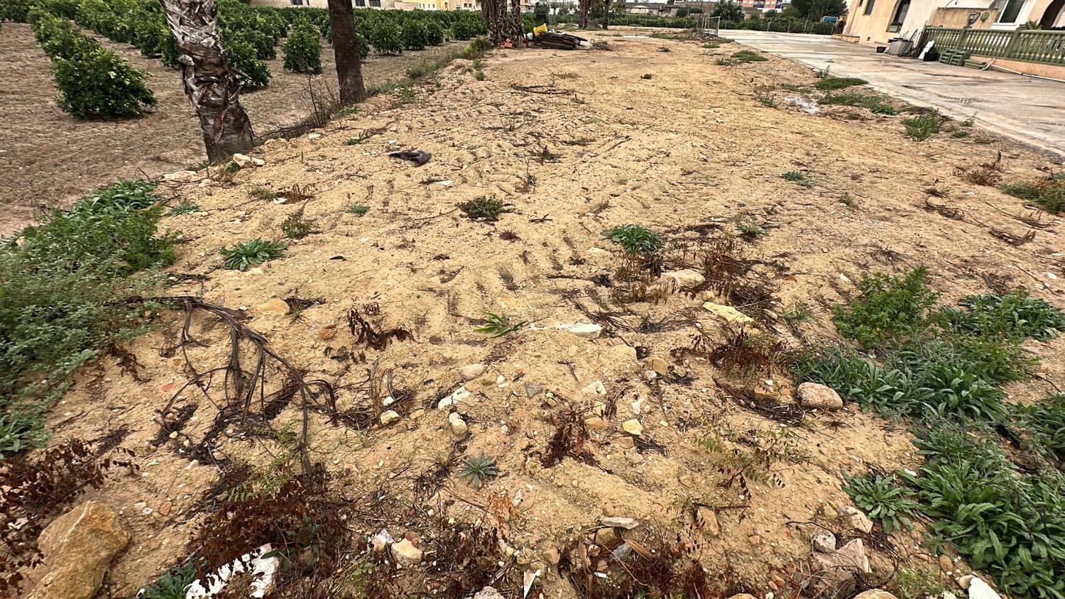 Grunde uden byggetilladelser til leje i Formentera del Segura - € 300 (Ref: 8370592)