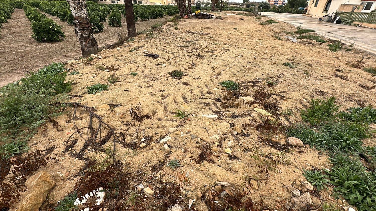 Grunde uden byggetilladelser til leje i Formentera del Segura - € 300 (Ref: 8370592)