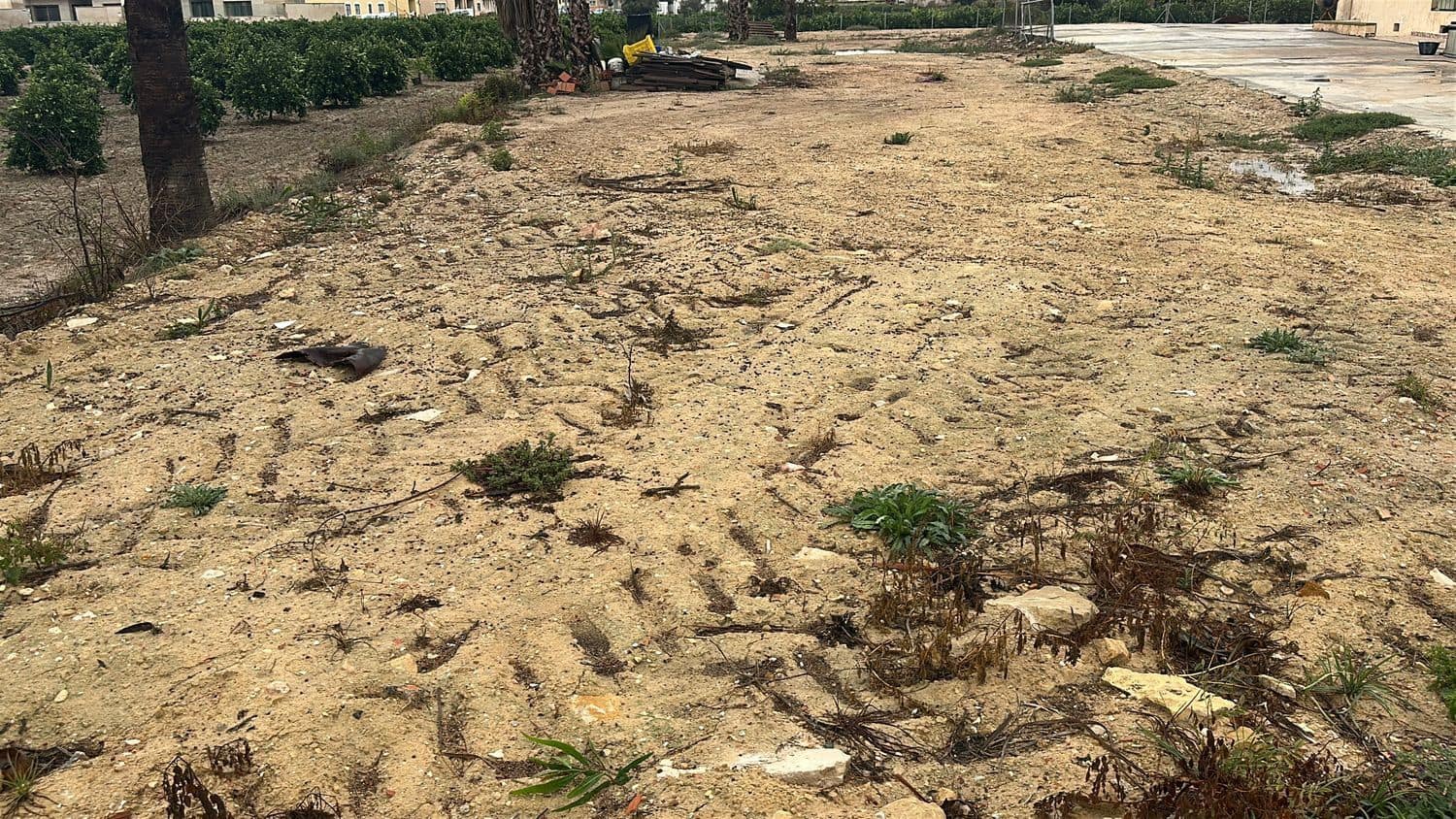 Grunde uden byggetilladelser til leje i Formentera del Segura - € 300 (Ref: 8370592)