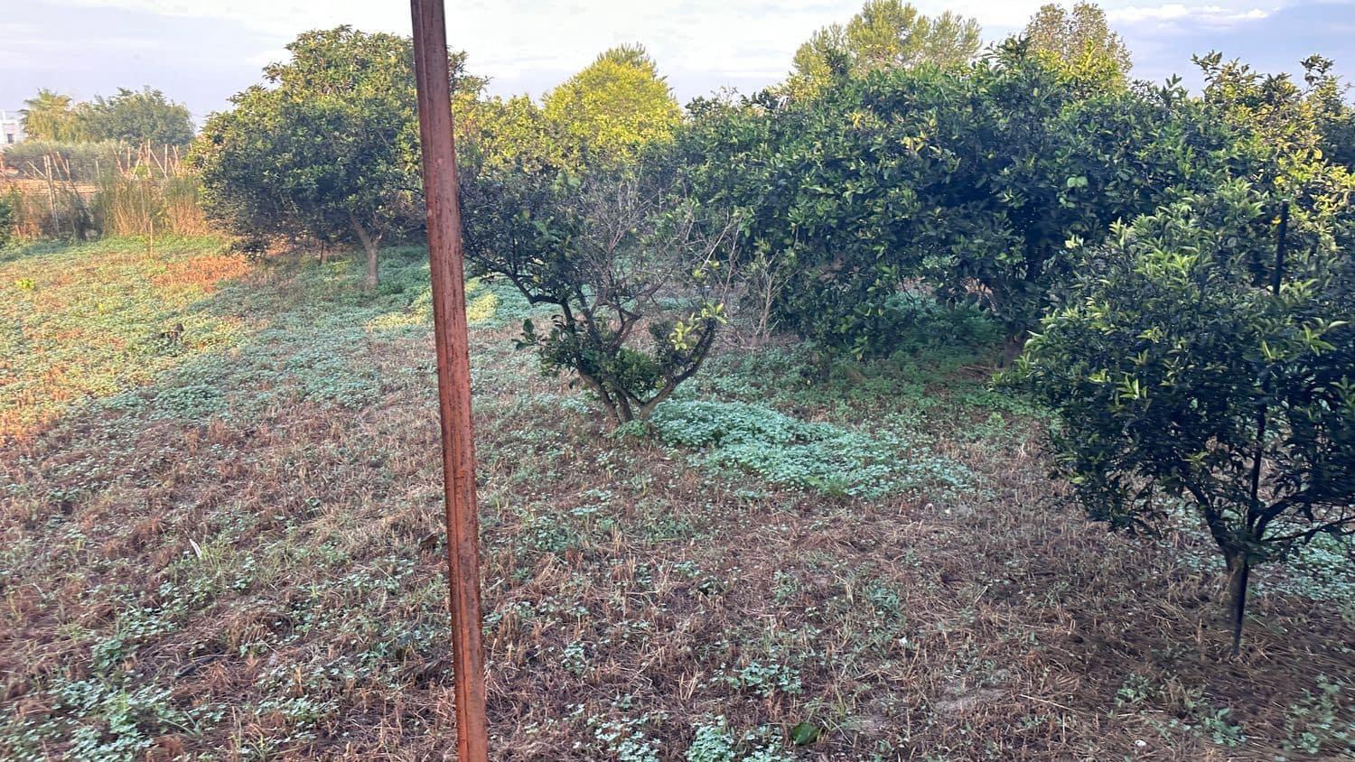 Terreno Non Edificato in vendita in Formentera del Segura - 64.900 € (Rif: 8603289)