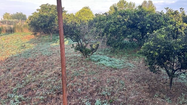 Undeveloped Land for sale in Formentera del Segura - € 64,900 (Ref: 8603289)