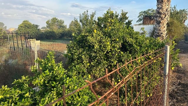 Undeveloped Land for sale in Formentera del Segura - € 64,900 (Ref: 8603289)