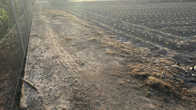 Undeveloped Land for sale in Formentera del Segura - € 64,900 (Ref: 8603289)