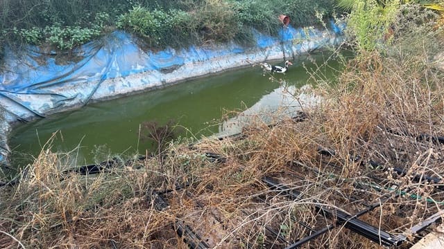 Undeveloped Land for sale in Formentera del Segura - € 64,900 (Ref: 8603289)