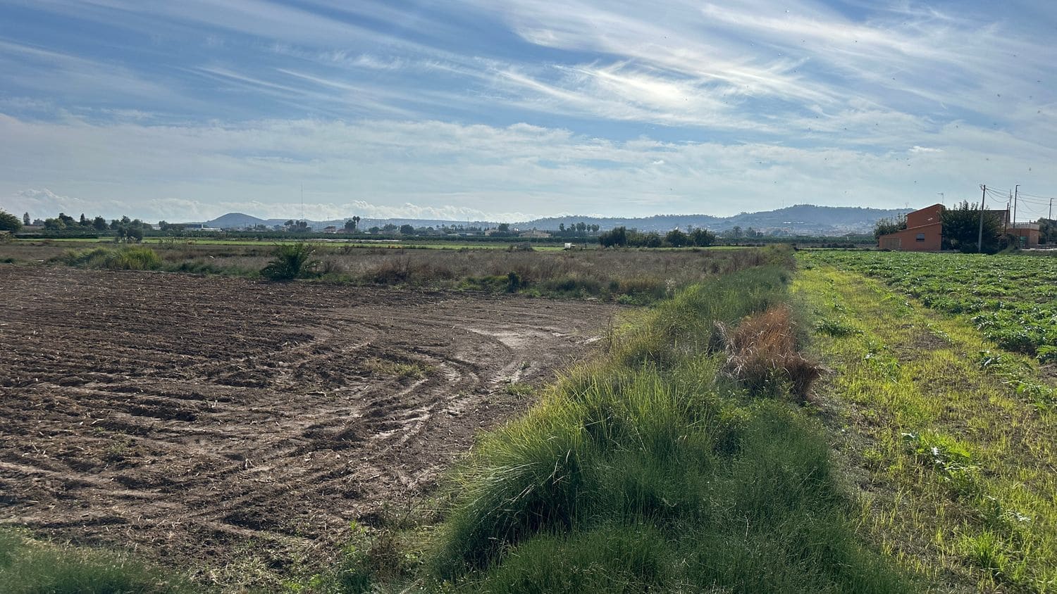 Mark till salu i Daya Vieja - 185 000 € (Ref: 8603290)