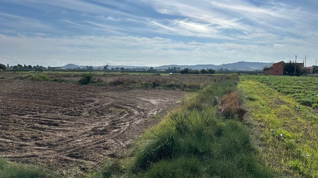 Undeveloped Land for sale in Daya Vieja - € 185,000 (Ref: 8603290)