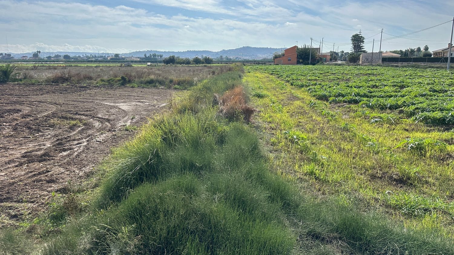 Mark till salu i Daya Vieja - 185 000 € (Ref: 8603290)