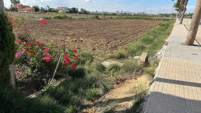 Undeveloped Land for sale in Daya Vieja - € 185,000 (Ref: 8603290)