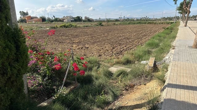 Undeveloped Land for sale in Daya Vieja - € 185,000 (Ref: 8603290)
