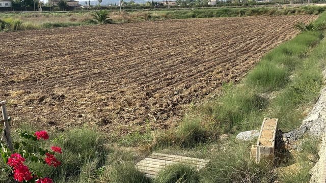 Undeveloped Land for sale in Daya Vieja - € 185,000 (Ref: 8603290)