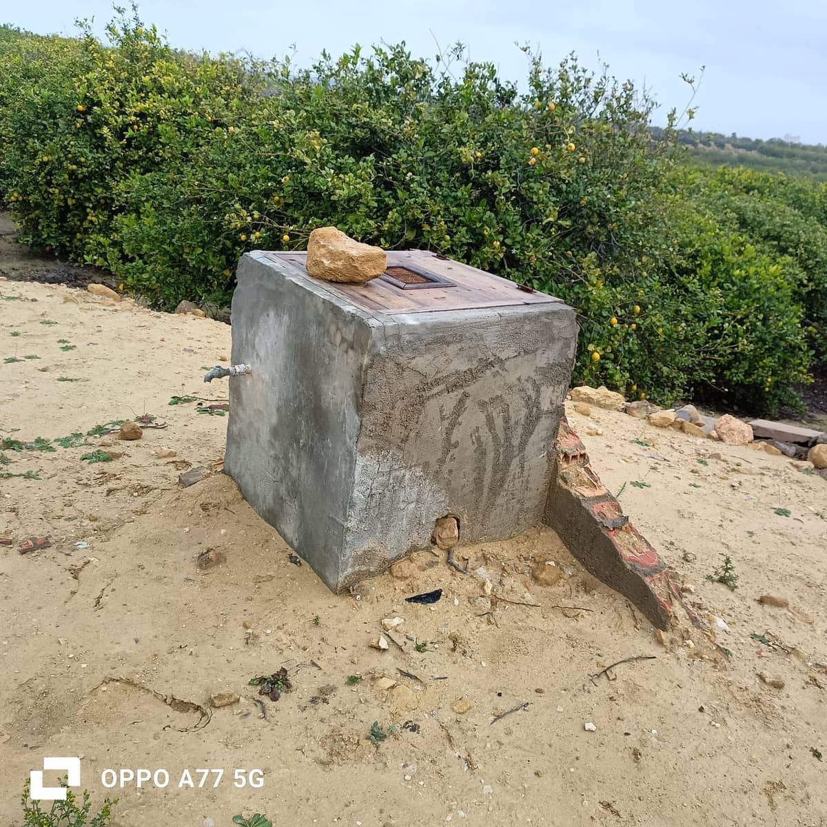 Grunde uden byggetilladelser til salg i Los Montesinos - € 110.000 (Ref: 8856788)