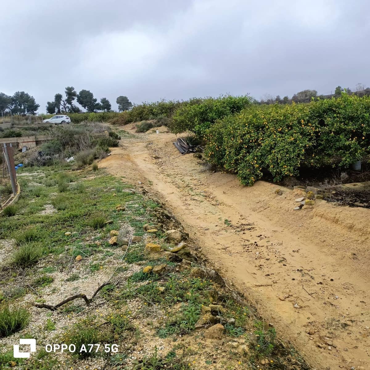 Grunde uden byggetilladelser til salg i Los Montesinos - € 110.000 (Ref: 8856788)