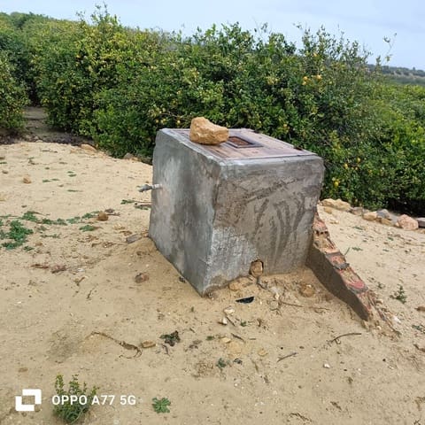 Grond te koop in Los Montesinos - € 110.000 (Ref: 8856788)