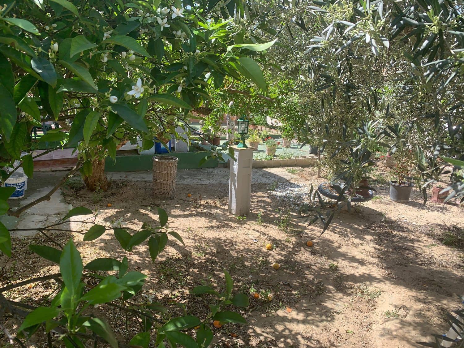 3 bedroom Villa for sale in Benijofar with pool - € 260,000 (Ref: 8917714)