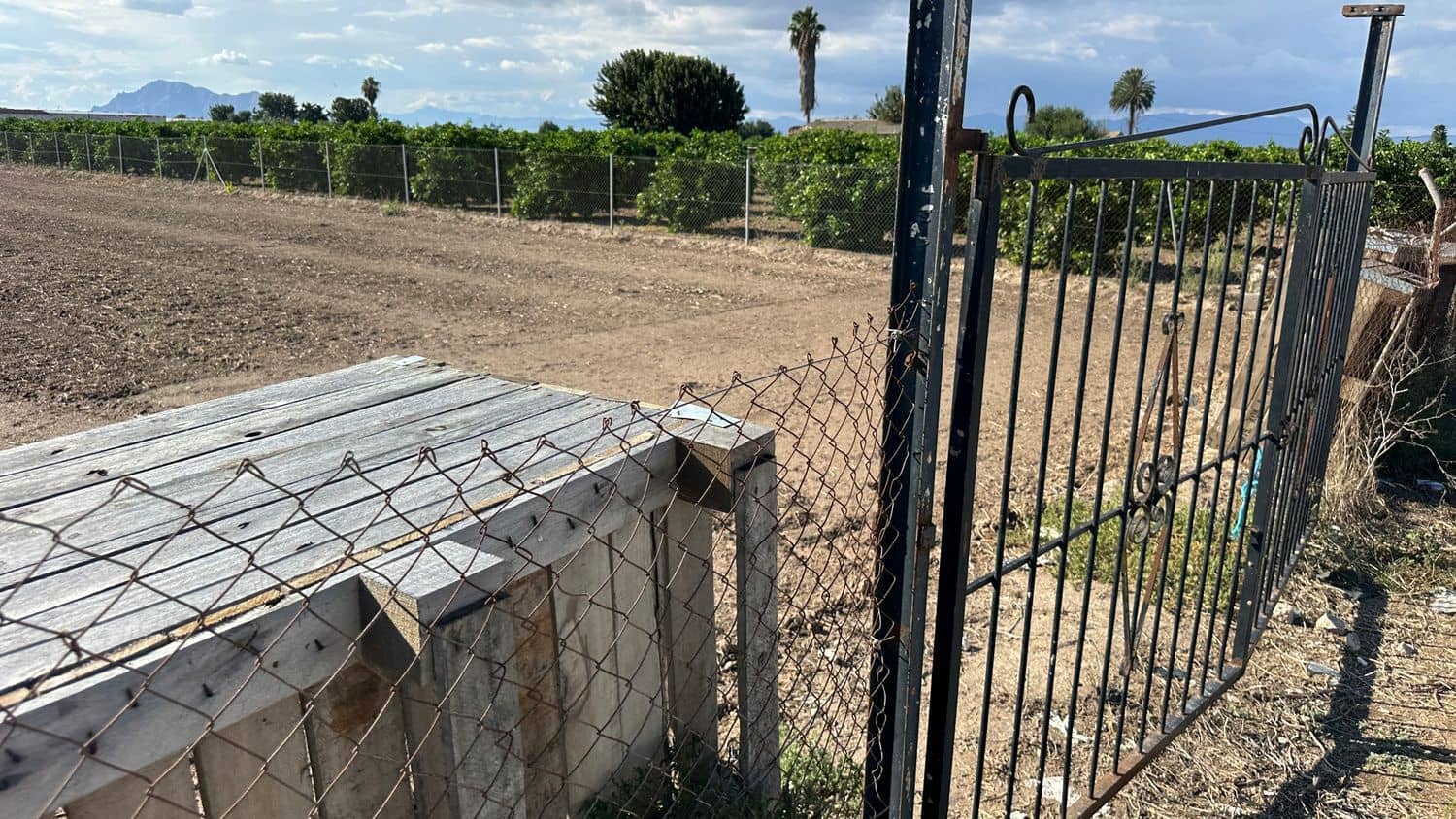 Grunde uden byggetilladelser til leje i Formentera del Segura - € 275 (Ref: 9275412)