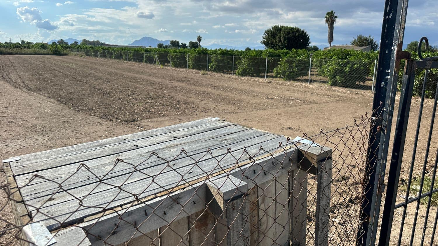 Grunde uden byggetilladelser til leje i Formentera del Segura - € 275 (Ref: 9275412)