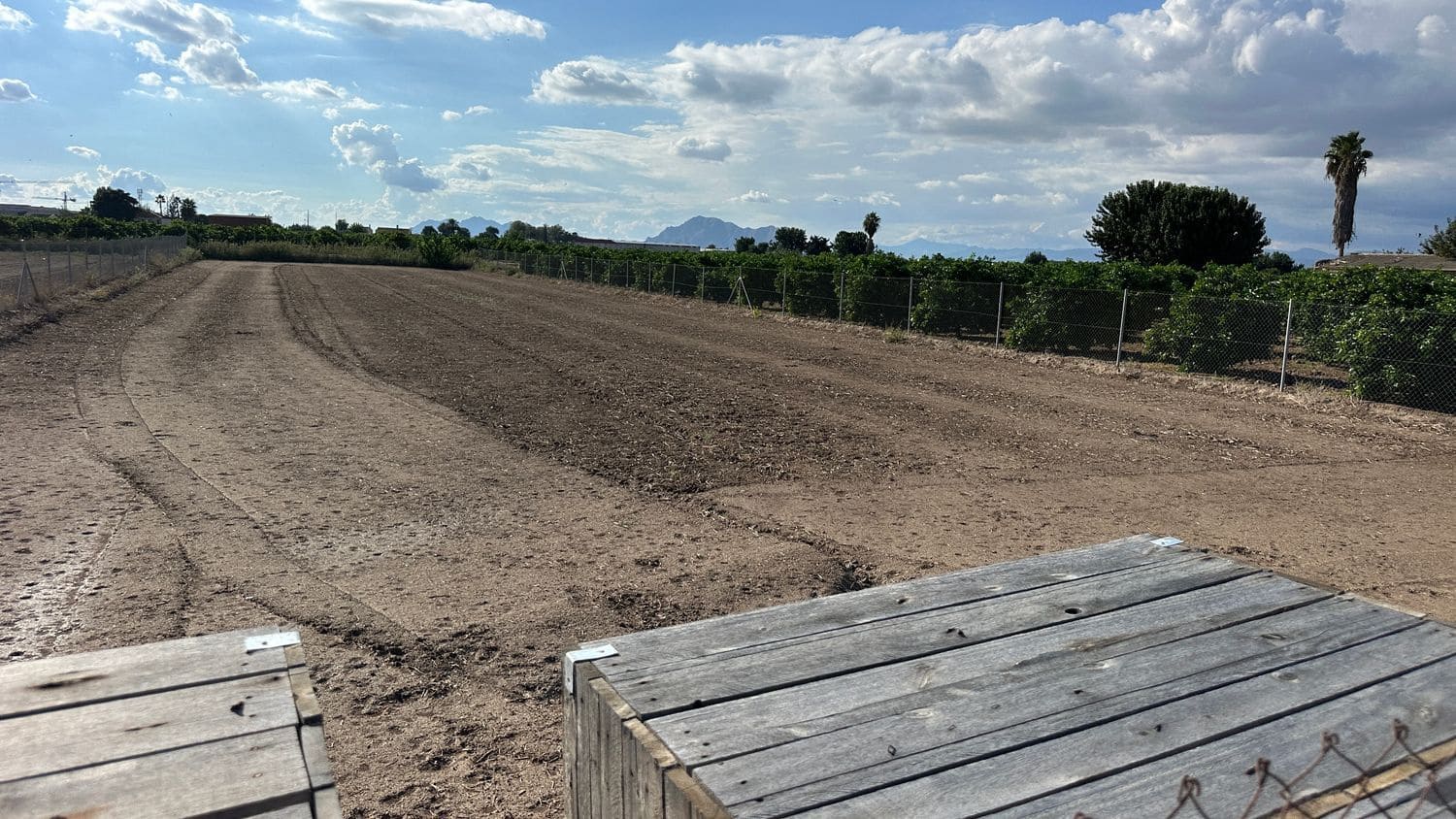 Grunde uden byggetilladelser til leje i Formentera del Segura - € 275 (Ref: 9275412)