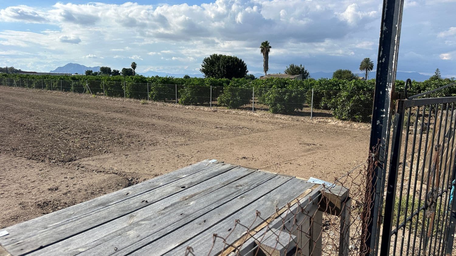 Grunde uden byggetilladelser til leje i Formentera del Segura - € 275 (Ref: 9275412)