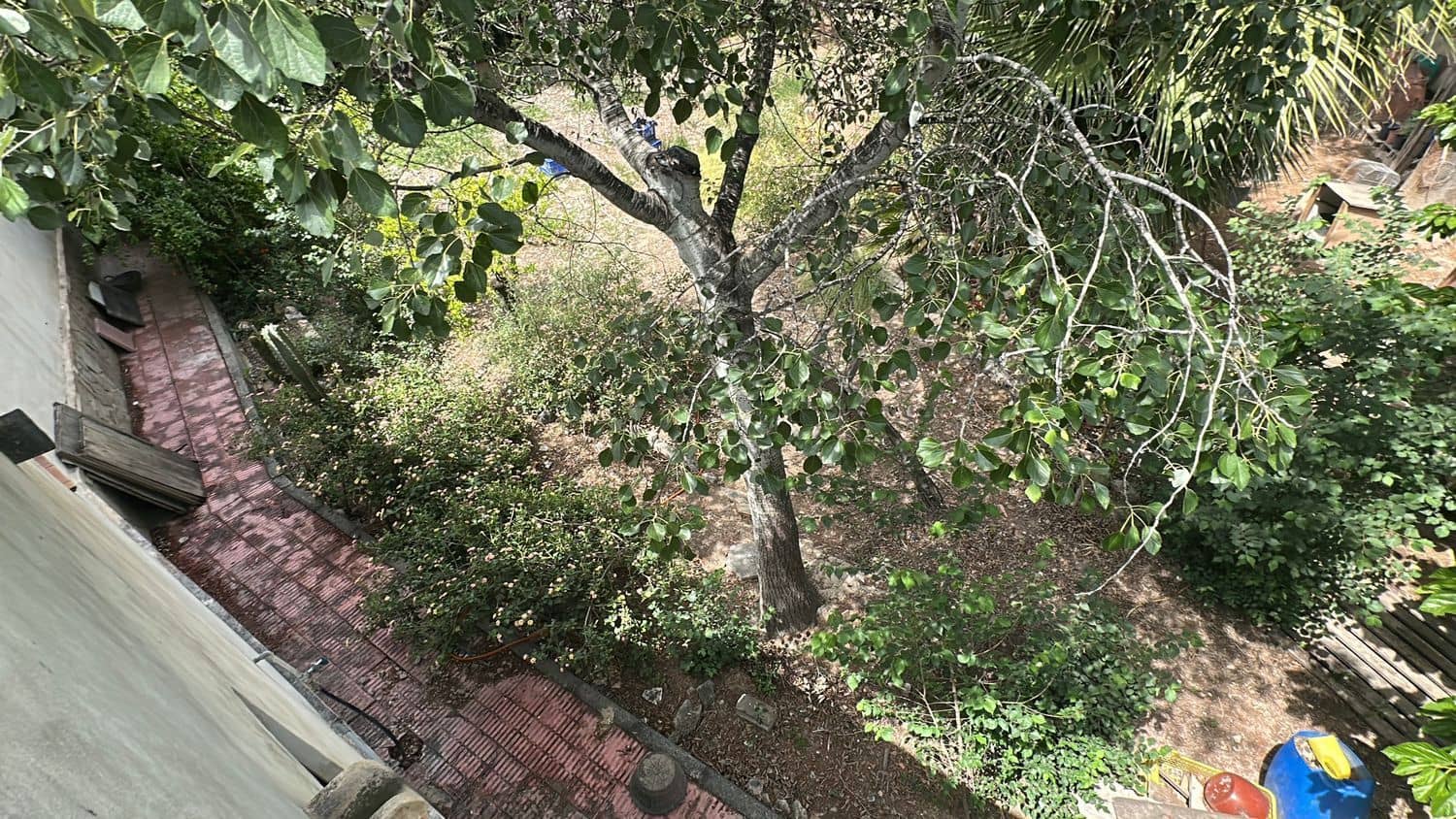 6 soverom Finca/Herregård til salgs i Rojales med garasje - € 169 000 (Ref: 9360411)