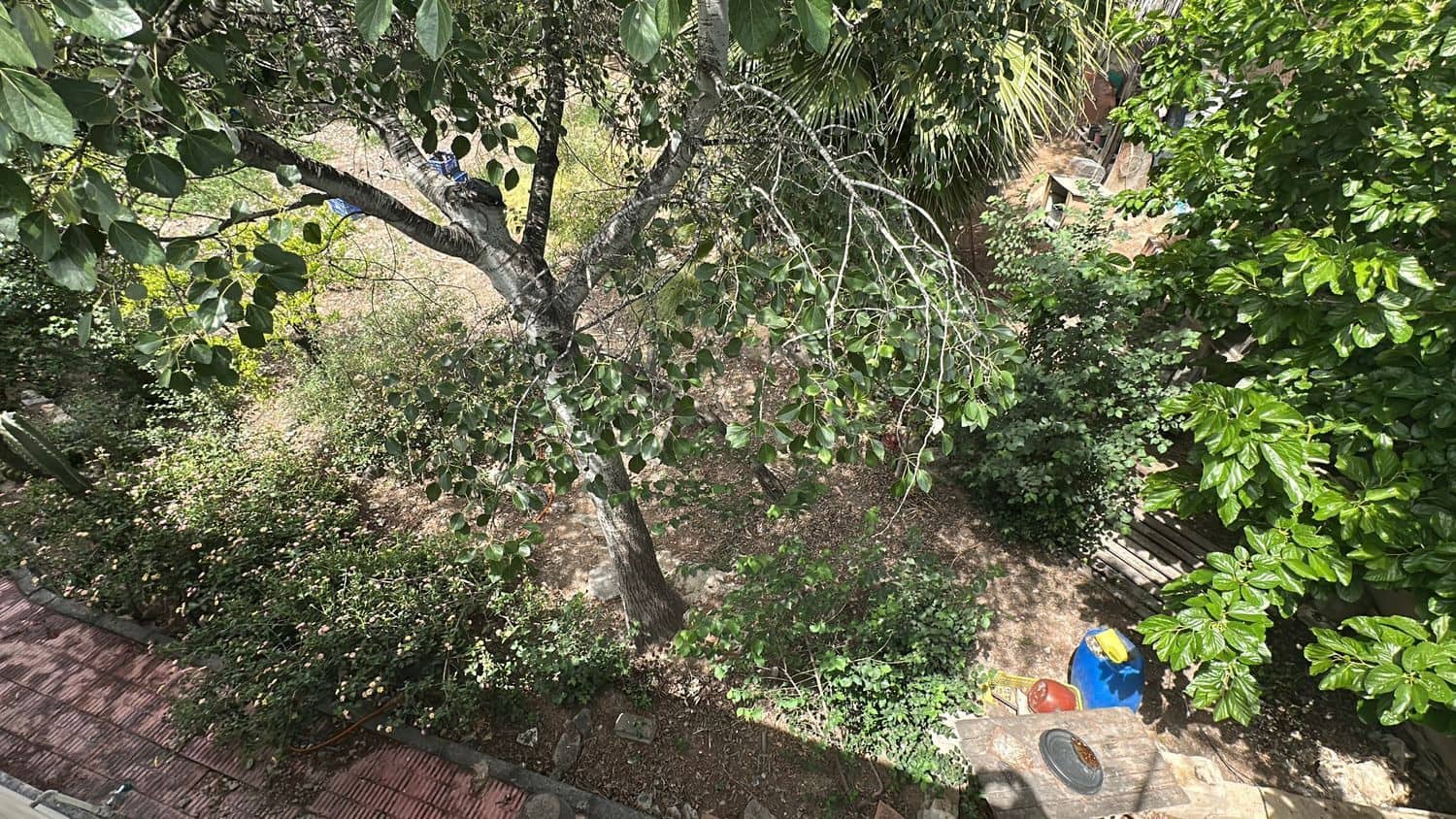 6 soverom Finca/Herregård til salgs i Rojales med garasje - € 169 000 (Ref: 9360411)