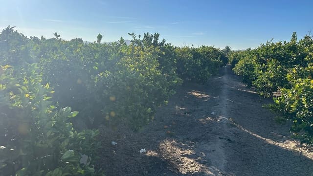 Grond te koop in Formentera del Segura - € 23.000 (Ref: 9397982)