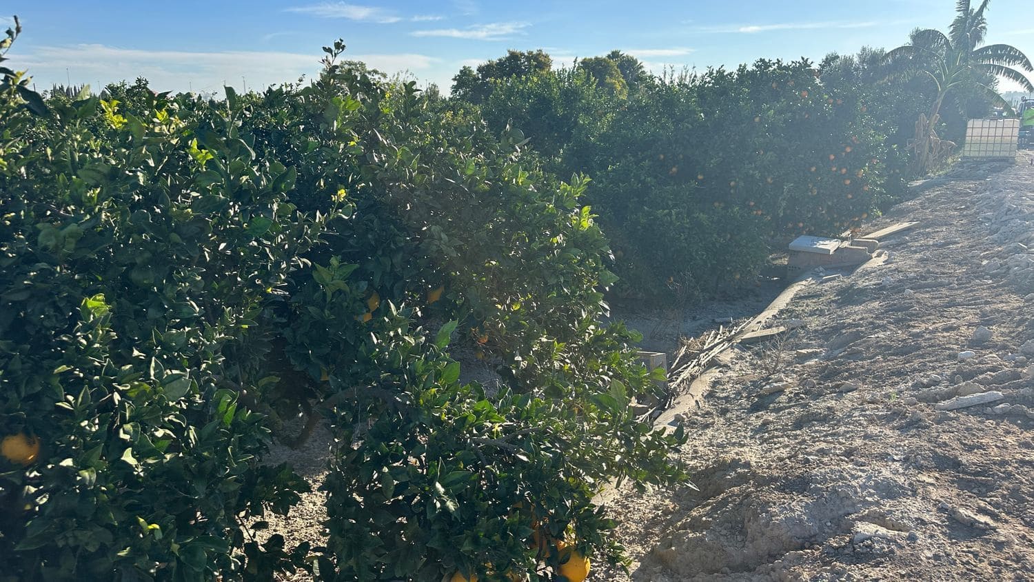 Undeveloped Land for sale in Formentera del Segura - € 23,000 (Ref: 9397982)