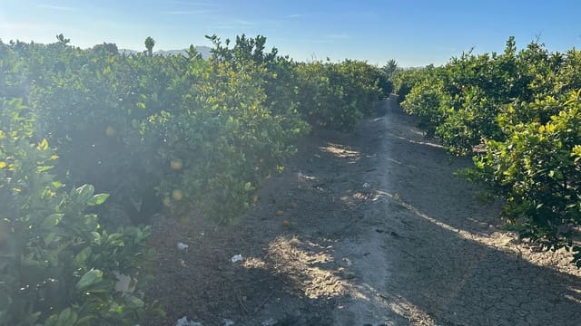 Grond te koop in Formentera del Segura - € 23.000 (Ref: 9397982)