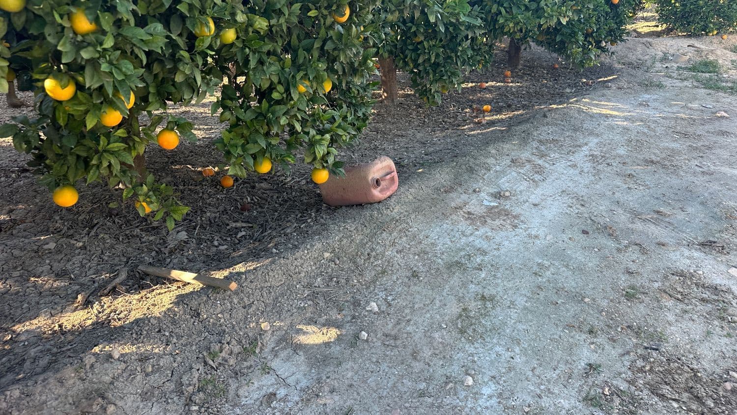 Undeveloped Land for sale in Formentera del Segura - € 23,000 (Ref: 9397982)