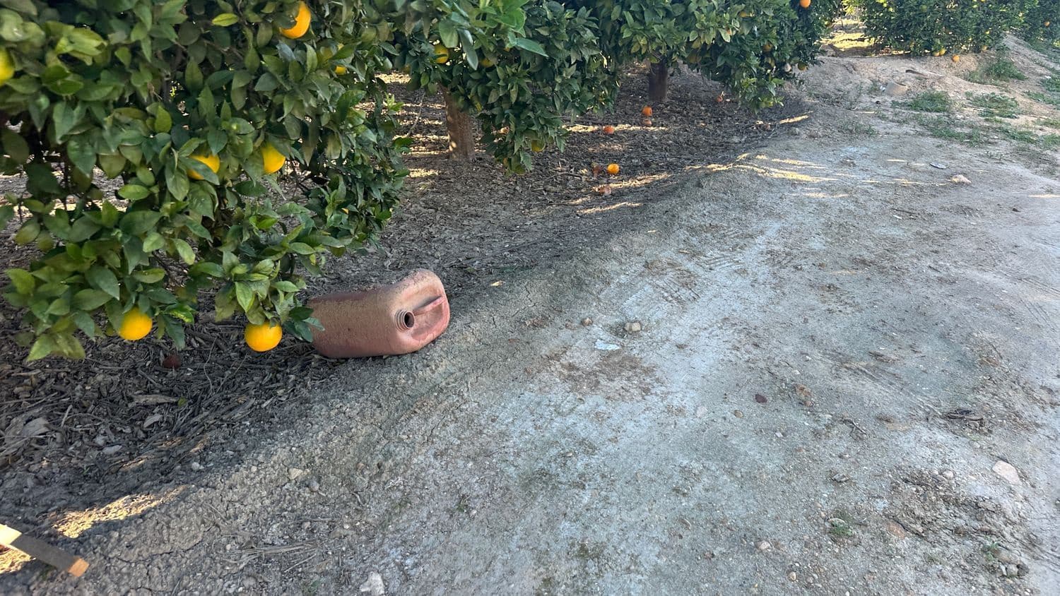 Undeveloped Land for sale in Formentera del Segura - € 23,000 (Ref: 9397982)