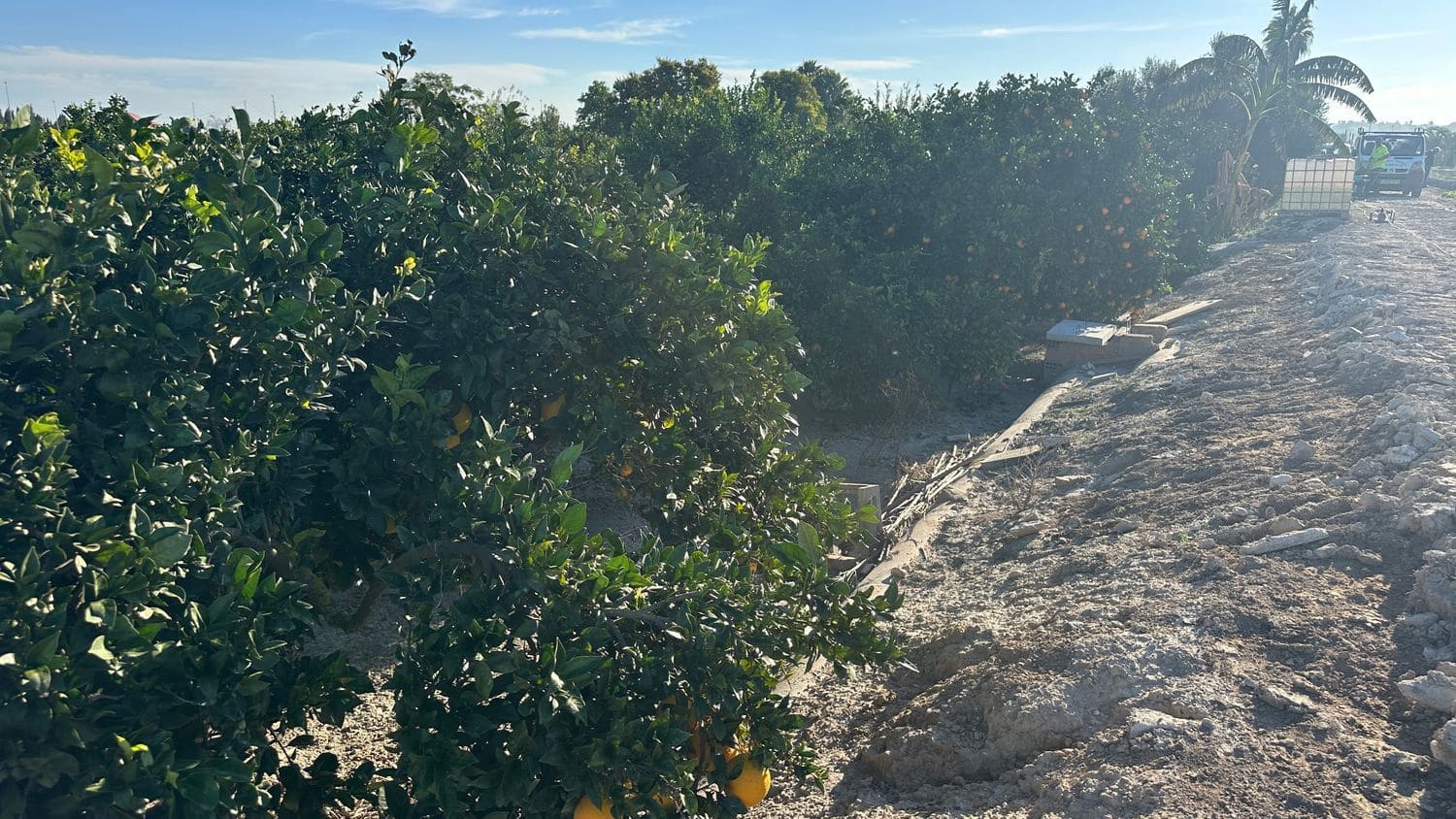 Undeveloped Land for sale in Formentera del Segura - € 23,000 (Ref: 9397982)