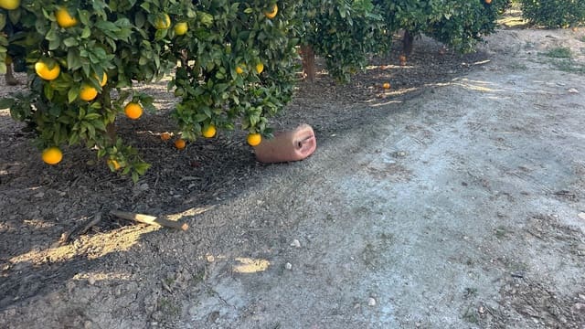 Grond te koop in Formentera del Segura - € 23.000 (Ref: 9397982)