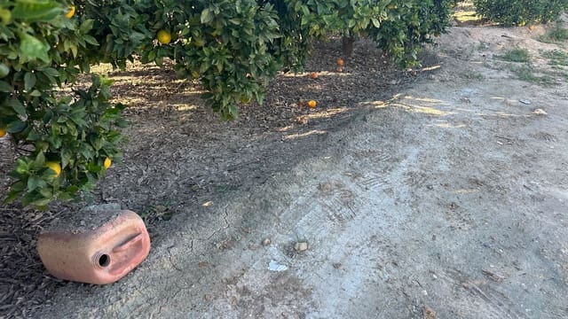 Grond te koop in Formentera del Segura - € 23.000 (Ref: 9397982)