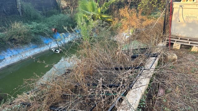 Terreno Não Urbanizado para arrendar em Formentera del Segura - 400 € (Ref: 9624219)