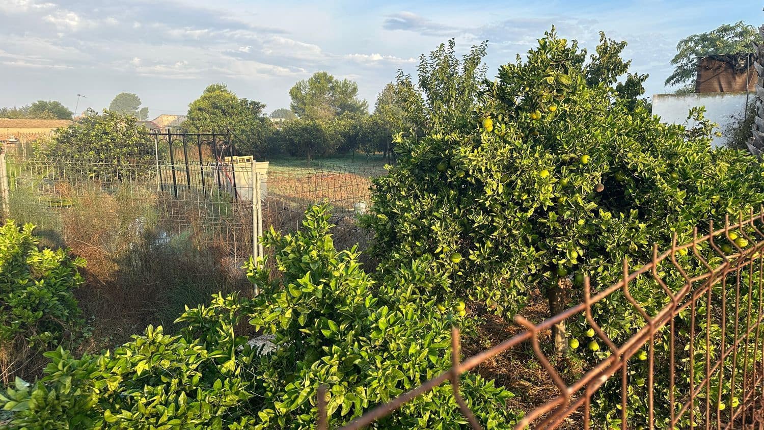 Terreno Não Urbanizado para arrendar em Formentera del Segura - 400 € (Ref: 9624219)