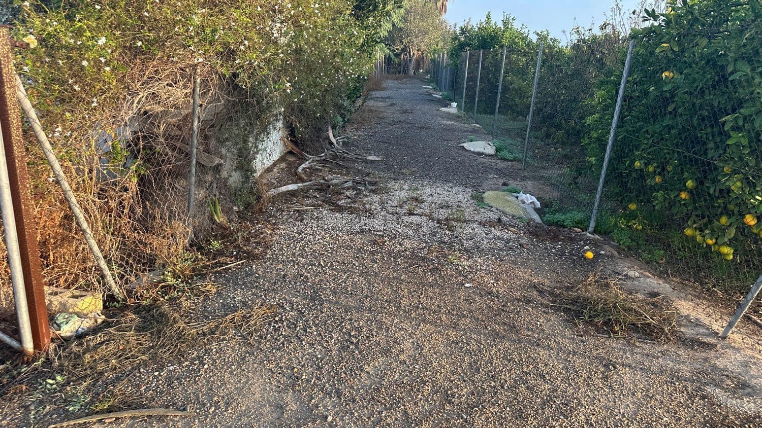 Terreno Não Urbanizado para arrendar em Formentera del Segura - 400 € (Ref: 9624219)