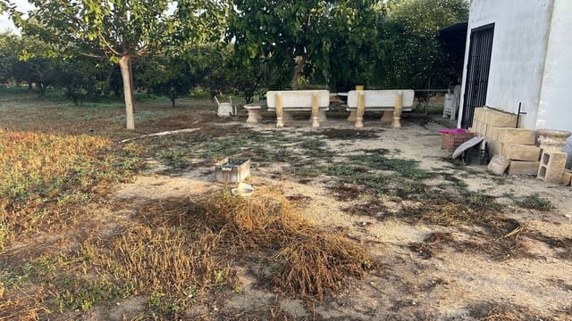 Terreno Não Urbanizado para arrendar em Formentera del Segura - 400 € (Ref: 9624219)