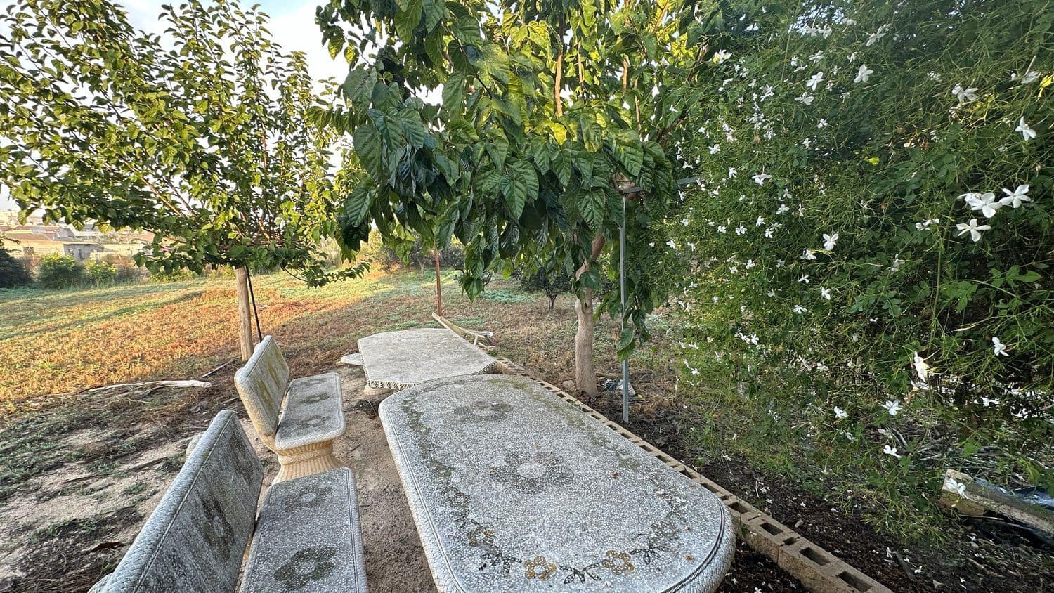 Terreno Não Urbanizado para arrendar em Formentera del Segura - 400 € (Ref: 9624219)