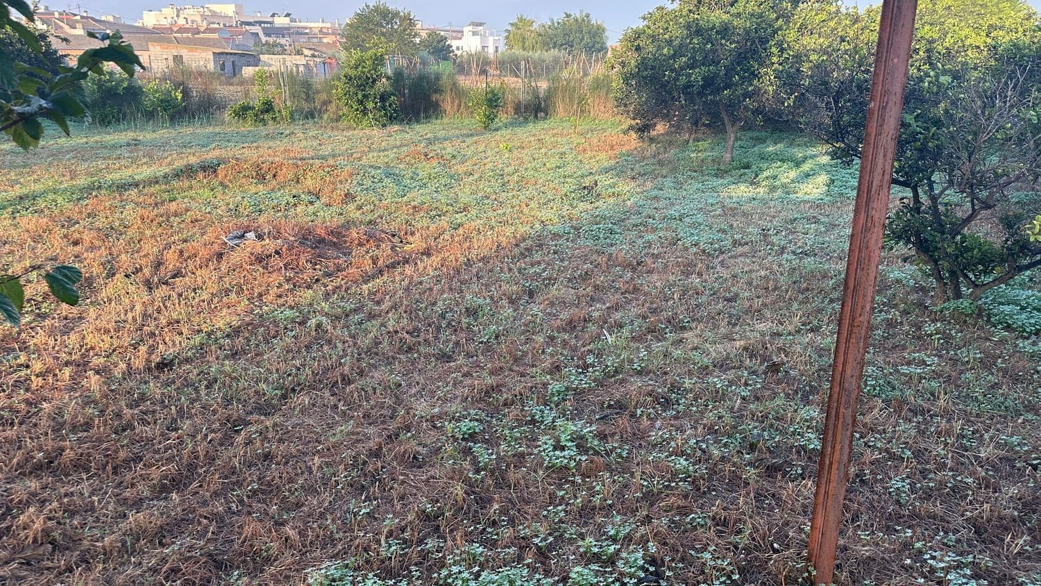 Terreno Não Urbanizado para arrendar em Formentera del Segura - 400 € (Ref: 9624219)