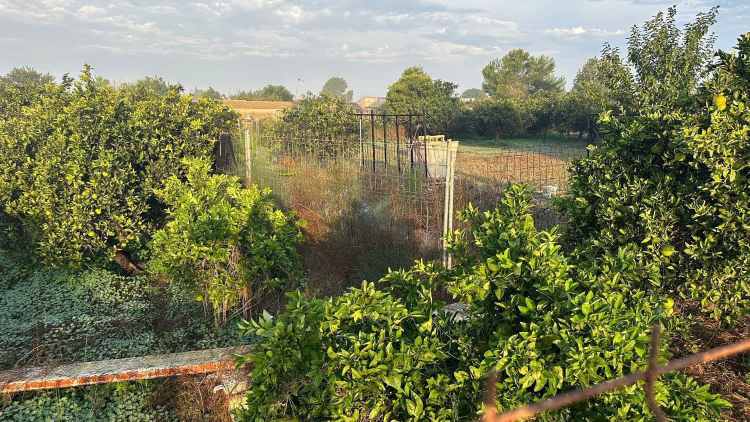 Terreno Não Urbanizado para arrendar em Formentera del Segura - 400 € (Ref: 9624219)