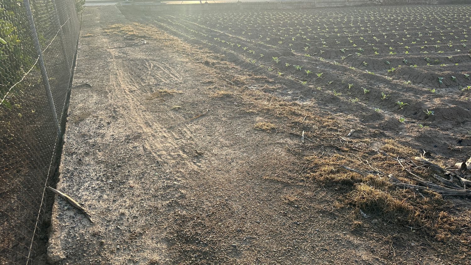 Terreno Não Urbanizado para arrendar em Formentera del Segura - 400 € (Ref: 9624219)