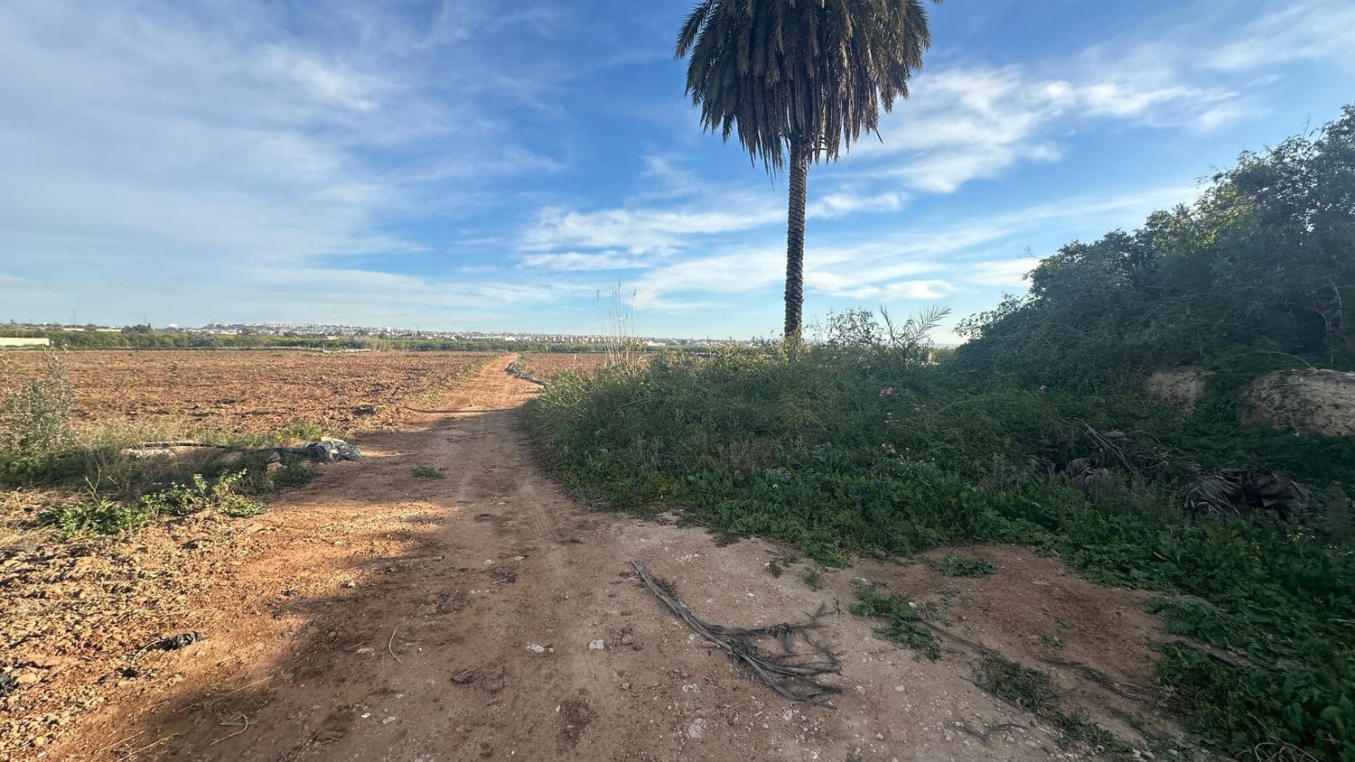 3 sypialnia Finka/Dom wiejski na sprzedaż w Benijofar z garażem - 249 000 € (Ref: 9694653)