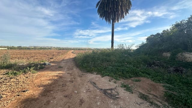 3 sypialnia Finka/Dom wiejski na sprzedaż w Benijófar z garażem - 249 000 € (Ref: 9694653)