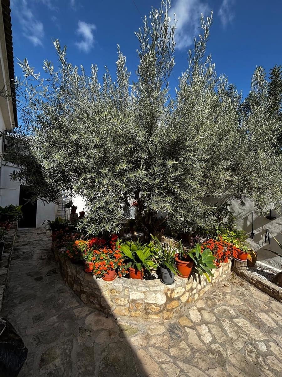 2 soveværelse Semi-Rækkehus til salg i Benejuzar med garage - € 169.900 (Ref: 9694654)