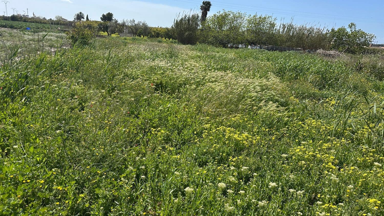 3 bedroom Villa for sale in Rojales with garage - € 135,000 (Ref: 9721050)