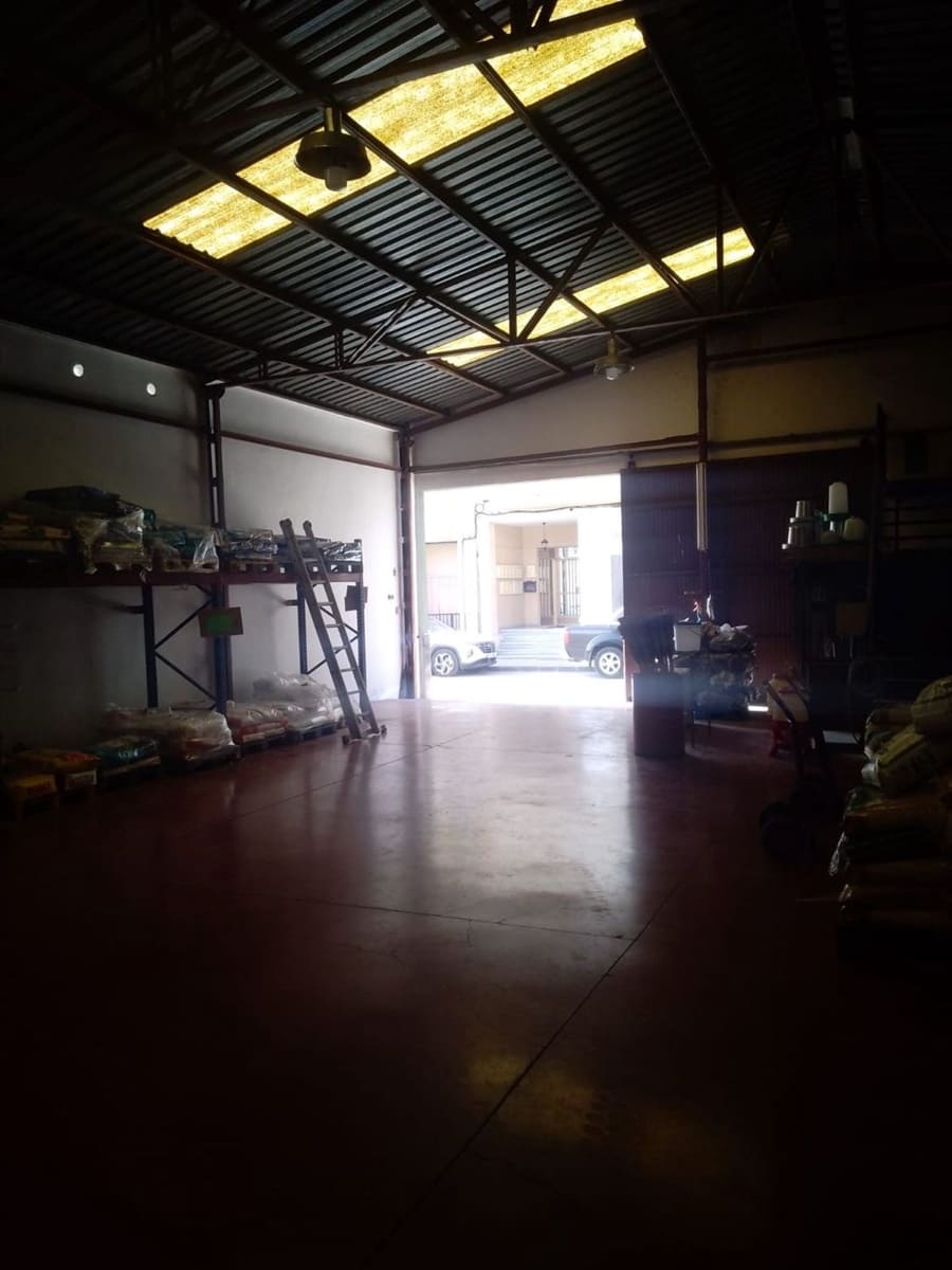 Kommersiell til salgs i Los Palacios - € 325 000 (Ref: 9798514)