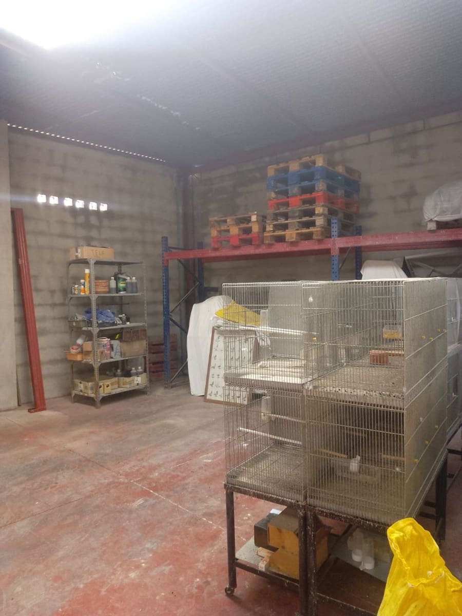 Kommersiell til salgs i Los Palacios - € 325 000 (Ref: 9798514)