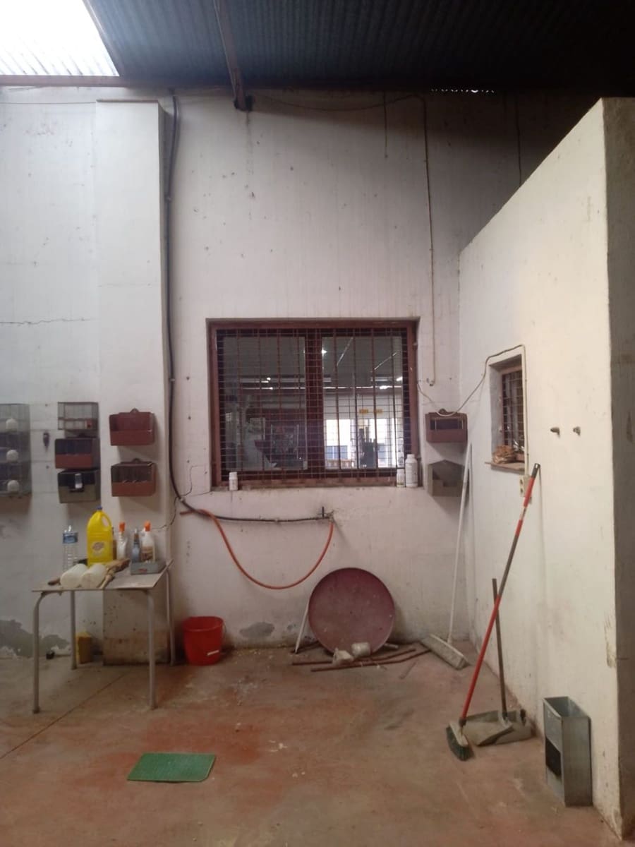 Kommersiell til salgs i Los Palacios - € 325 000 (Ref: 9798514)