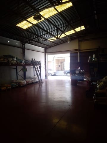 Kommersiell til salgs i Los Palacios, Formentera del Segura - € 325 000 (Ref: 9798514)